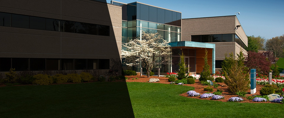 Apollo Landscapers