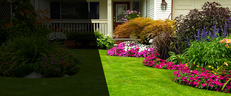 Apollo Landscapers