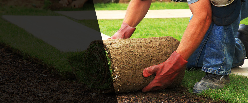 Apollo Landscapers